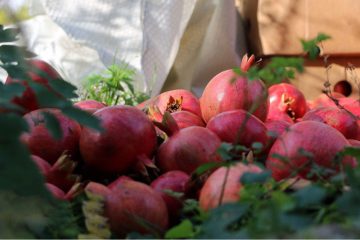 ثبت ۲۷ جشنواره انار در تقویم رویدادهای میراث‌فرهنگ، گردشگری و صنایع دستی