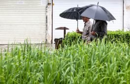 خطر خسارت به محصولات کشاورزی با  فعالیت سامانه بارشی از روز چهارشنبه تا جمعه