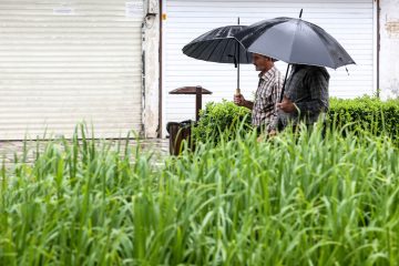 خطر خسارت به محصولات کشاورزی با  فعالیت سامانه بارشی از روز چهارشنبه تا جمعه