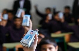 «توزیع شیر در مدارس» نیازمند ردیف اعتباری مستقل برای اجرای پایدار است