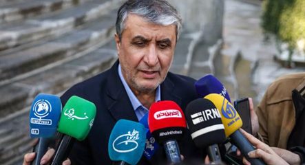  رئیس سازمان انرژی اتمی: ایران ورود هیچ بازرس آژانس را ممنوع نکرده است