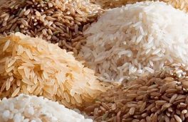 صادرات برنج پاکستان در ماه منتهی به ژوئن به بالاترین حد خود می رسد