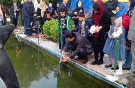 ورود ماهی قرمز به آب‌های آزاد استان آذربایجان شرقی ممنوع است