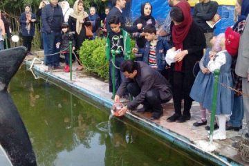 ورود ماهی قرمز به آب‌های آزاد استان آذربایجان شرقی ممنوع است