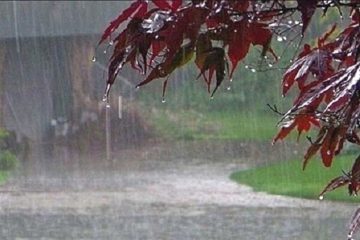 بارش باران و وزش باد در برخی مناطق کشور همچنان ادامه دارد
