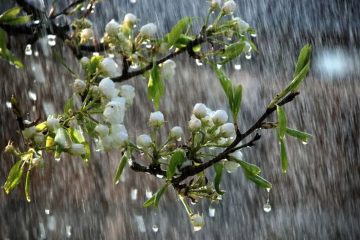  رگبار باران و بارش برف در راه آذربایجان‌شرقی