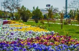 کاشت ۹ میلیون بوته گل از سوی سازمان سیما، منظر و فضای سبز شهرداری تبریز