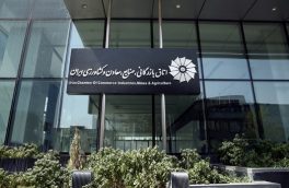 سلاح‌ورزی: برخی از نمایندگان اتاق بازرگانی ایران به استعفا فکر می‌کنند/ حسن‌زاده: کذب است