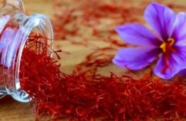 افغانستان سال گذشته با خرید ۴۰ تن زعفران از ایران آن را  در بازارهای خود ما به فروش رساند