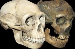 زندگی۲۰ هزار ساله انسان های اولیه در «فلات ایران»