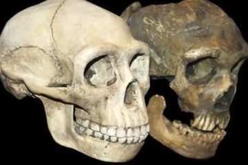 زندگی۲۰ هزار ساله انسان های اولیه در «فلات ایران»