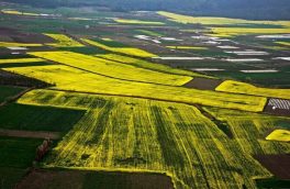واگذاری ۳۹۵ هکتار اراضی کشاورزی در آذربایجان شرقی