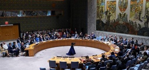 عدم اجماع کمیته شورای امنیت درباره عضویت کامل فلسطین در سازمان ملل