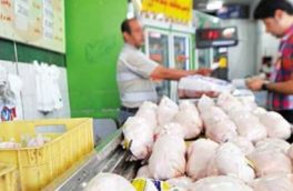 رییس اتحادیه فروشندگان مرغ گوشتی و ماهی عنوان کرد: پایین بودن مقطعی قیمت مرغ