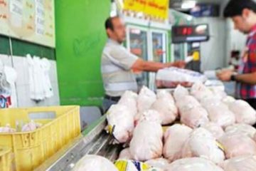 رییس اتحادیه فروشندگان مرغ گوشتی و ماهی عنوان کرد: پایین بودن مقطعی قیمت مرغ