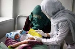 تعداد تولدها از مادران غیر ایرانی طی ۴ سال بیش از ۷۰ درصد افزایش یافت
