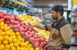 سال گذشته میوه ۴۵ درصد ارزان تر از سطح شهر تهران در میادین و بازارهای میوه و تره بار عرضه شد