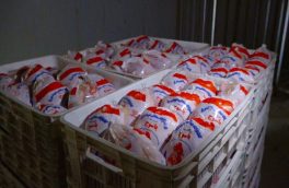 روزانه بیش از یکهزار تن مرغ گرم جهت تنظیم بازار ذخیره‌سازی می شود