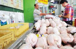  قیمت مرغ افزایش اندکی داشته و گوشت مرغ هنوز هم پایین‌تر از نرخ مصوب فروخته می‌شود
