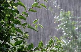تداوم بارش باران در استان آذربایجان شرقی