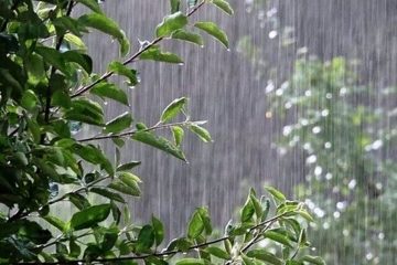 تداوم بارش باران در استان آذربایجان شرقی