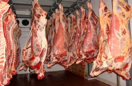 بازار گوشت قرمز روزهای باثباتی را تجربه می‌کند