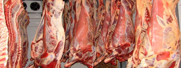 بازار گوشت قرمز روزهای باثباتی را تجربه می‌کند