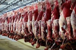 قیمت گوشت گوسفند در روزهای گذشته ​افزایش پیدا کرد