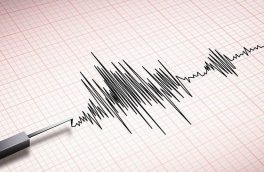 زلزله رودبارجنوب کرمان خسارتی در پی نداشت