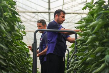 رشد ۳۳ درصدی ارزش تولیدات کشاورزی در آذربایجان شرقی
