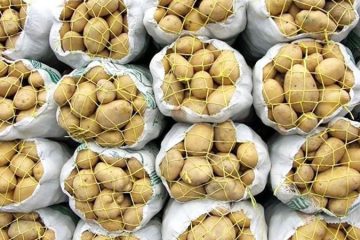 بازارهای صادراتی سیب‌زمینی با تصمیمات نادرست وزارت صمت از دست می رود