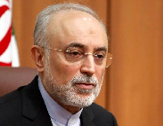 علی اکبر صالحی: رئیس‌جمهور آینده موضوع FATF را در معرض نظر صاحب‌نظران قرار دهد