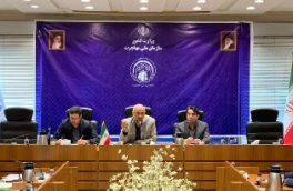 رئیس سازمان ملی مهاجرت: سقف مهاجران در هر استان تعیین شده است