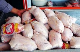 توریع ۷۱۵ تن گوشت مرغ منجمد در آذربایجان‌شرقی