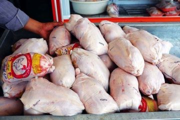 توریع ۷۱۵ تن گوشت مرغ منجمد در آذربایجان‌شرقی