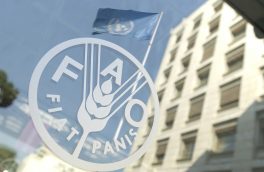 ایران با همکاری فائو به مرکزیت امنیت غذایی منطقه تبدیل می‌شود