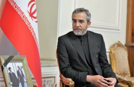 باقری در تماس با سفیر ایران در پاریس از آخرین وضعیت شهروند ایرانی بازداشت‌شده در فرانسه مطلع شد