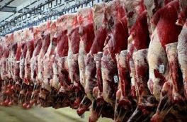 تا زمانی که گوشت لاشه گوسفندی به قیمت ۴۸۰ هزار تا ۵۲۰ هزار تومان برسد، واردات ادامه دارد