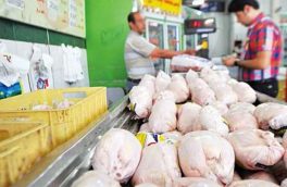 وزارت جهادکشاورزی صادرات گوشت مرغ را آزاد کرد