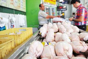 وزارت جهادکشاورزی صادرات گوشت مرغ را آزاد کرد