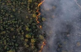  سطح آتش‌سوزی‌های منابع طبیعی در سال جاری بیش از۲۵۰ درصد افزایش یافت