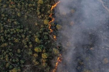  سطح آتش‌سوزی‌های منابع طبیعی در سال جاری بیش از۲۵۰ درصد افزایش یافت