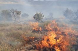 ادامه آتش‌سوزی در منطقه حفاظت‌شده خاییز