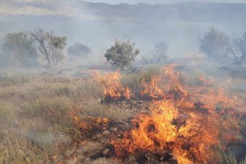 ادامه آتش‌سوزی در منطقه حفاظت‌شده خاییز