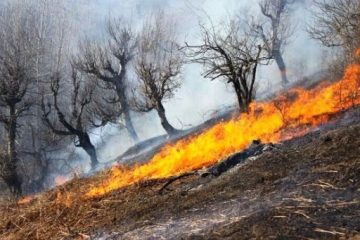 مهار  کامل آتش‌سوزی در ارتفاعات جنوب خرم‌آباد