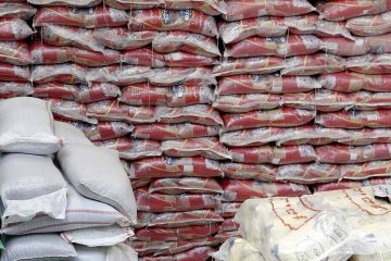 سخنگوی دولت: پیشنهاد حذف ارز ترجیحی واردات برنج از دستور کمیسیون اقتصاد هیات دولت خارج شد