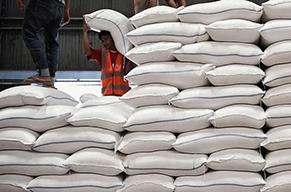 با کاهش چشمگیر واردات برنج، گران تر شدن بهای برنج ایرانی در راه است