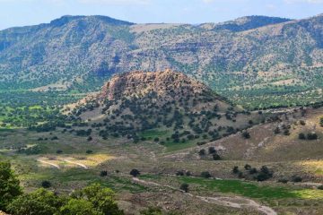 مشاهده یوزپلنگ به همراه ۲ توله در محدوده حفاظت مشارکتی یوز کنام پل ابریشم