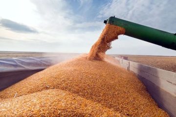 هزینه ۲۰۰ همتی در تامین آرد و گندم در پیش روی دولت چهاردهم