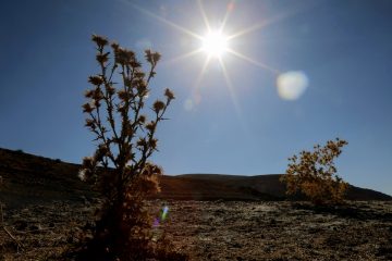 دمای جیرفت با عبور از ۵۰ درجه گرمترین نقطه استان کرمان شد